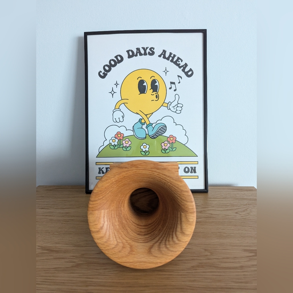 Beautiful Handcrafted Wooden Gramophone